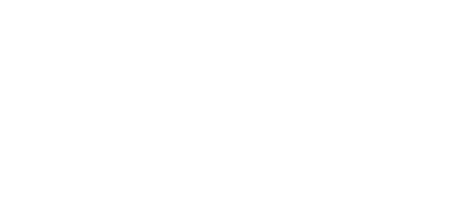 The Lisa Mae logo